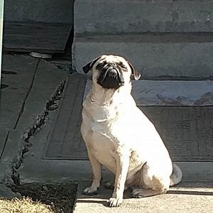 Meet your Posher, Matt